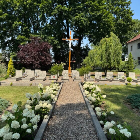 Nekropolia w Osiecznej