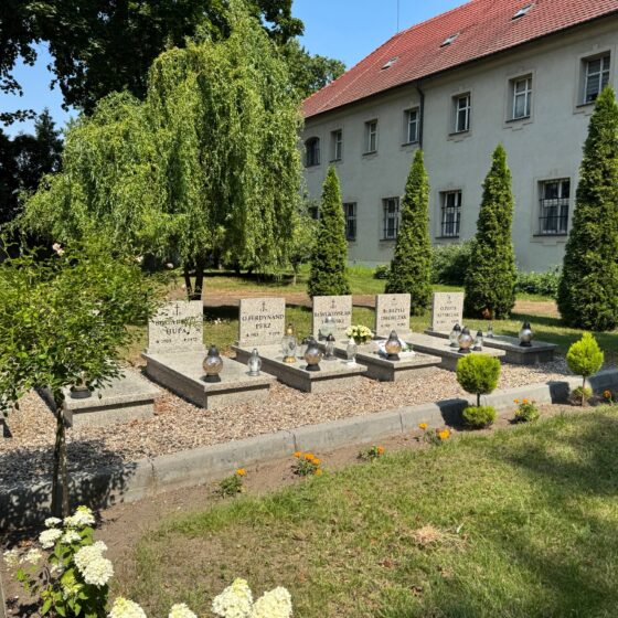 Nekropolia w Osiecznej