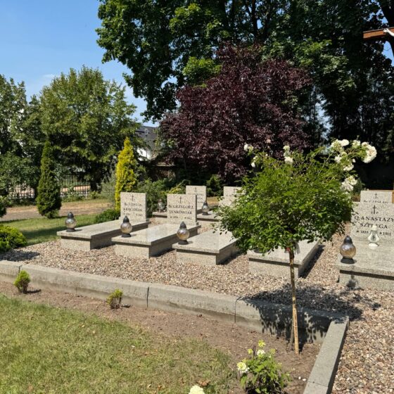 Nekropolia w Osiecznej