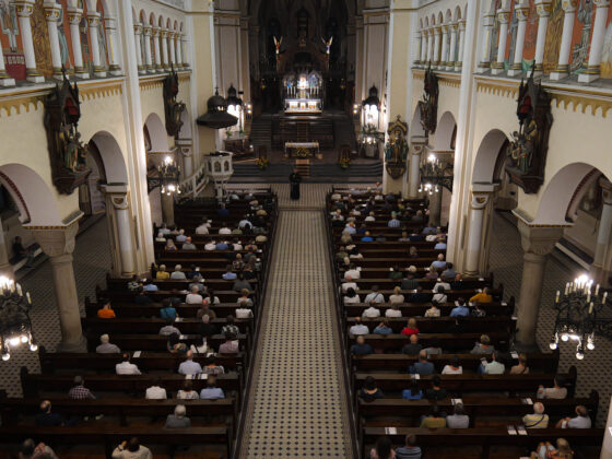 Pierwszy Jubileuszowy koncert organowy w Panewnikach, 30.08.2025 r. Fot.: Michał Kurka/FCM