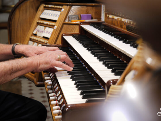 Pierwszy Jubileuszowy koncert organowy w Panewnikach, 30.08.2025 r. Fot.: Michał Kurka/FCM