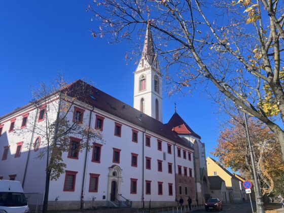 Posiedzenie Komitetu Wykonawczego ds. Formacji i Studiów Zakonu Braci Mniejszych, Zagrzeb (Chorwacja), 4–7 listopada 2025 r.