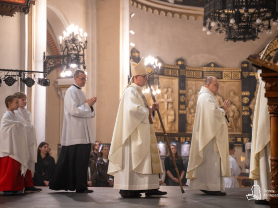 3 października 2026, Jubileusz 800. lecia śmierci Franciszka z Asyżu, Katowice-Panewniki Fot. Agnieszka Grabara / FCM