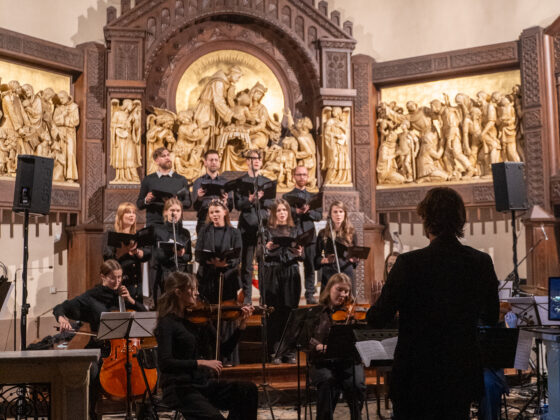 3 października 2026, Jubileusz 800. lecia śmierci Franciszka z Asyżu, Katowice-Panewniki Fot. Agnieszka Grabara / FCM